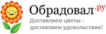 Обрадовал.ру Обрадовал.ру